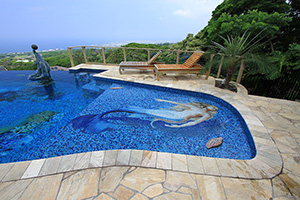 Dive on into the deep blue sea and explore in your own backyard! With mosaics like these, you give your pool a fresh 3D interactive look!